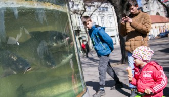 Otvaranje manifestacije "Dani ribe"