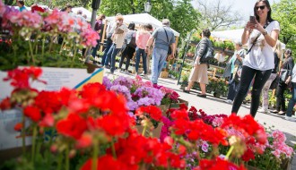 Sajam cveća i sadnica "Garden flora 2019"