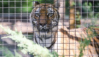 Nedeljno popodne u Zoološkom vrtu