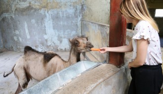 Novi stanovnici ZOO vrta Palić