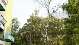 Komunalni problemi u ulici Osmog marta