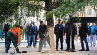 Podizanje jelke u centru grada