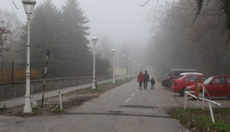Najava akcije uklanjanja invazivnog drveća i proširenja parkinga
