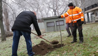 Sađenjе drveta u okviru akcije "Za novi život"