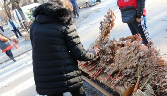 Prodaja badnjaka na Mlečnoj pijaci