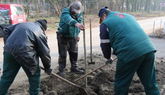 Obilazak radova na sadnji drvoreda
