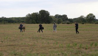 Premeštanje tekunica (vrsta veverice) u zaštićeno područje Subotičke peščare