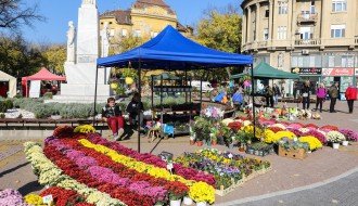 Cvetna pijaca na Trgu
