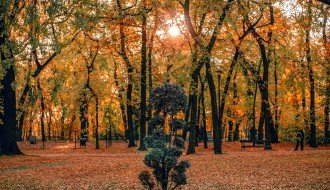 Jesenje boje uz zalazak sunca