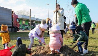 Pošumljavanje na Palićkom putu