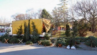 Prodaja ukrasnih (novogodišnjih) jelki na "Zelencu"