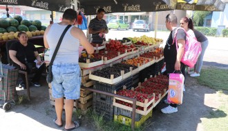 Prodaja voća i povrća u Malom Bajmoku