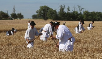 Takmičenje risara 2022 (album #1)