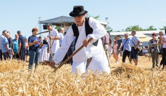 Takmičenje risara 2022 (album #2)