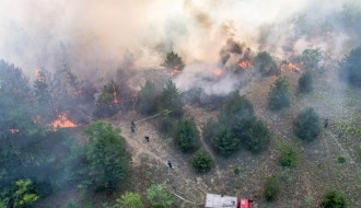 Požar u Radanovačkoj šumi