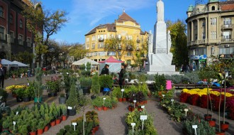 Vašar cveća na trgu