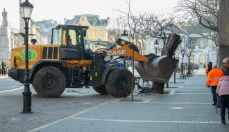 Uklajanje trulog stabla iz centra grada