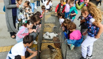 Оbeležavanjе svetskog dana životinja