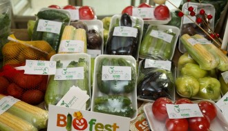 XIX festival "Biofest"