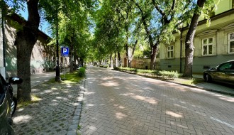 Šetnja Ulicom braće Radić