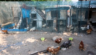 Razgovor povodom problema sa lisicama u MZ "Zorka"