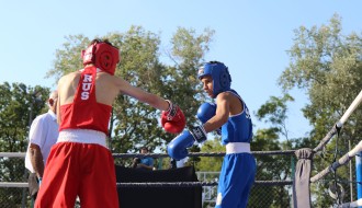 Boks: 42. Vojvođanska zlatna rukavica