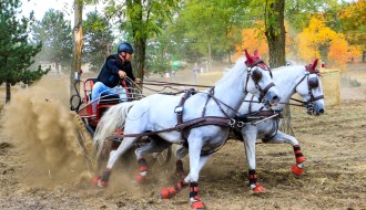 Prvenstvo Srbije u vožnji dvoprega