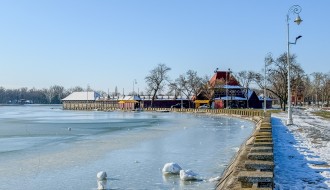 Palić u januara