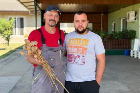 Uzgoj maka na vojvođanskom polju